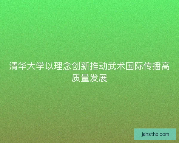 清华大学以理念创新推动武术国际传播高质量发展 清华大学以理念创新推动武术国际传播高质量发展